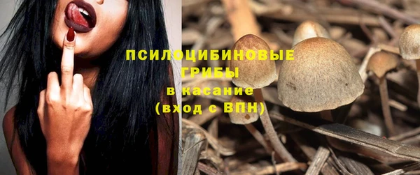 мет Верхний Тагил