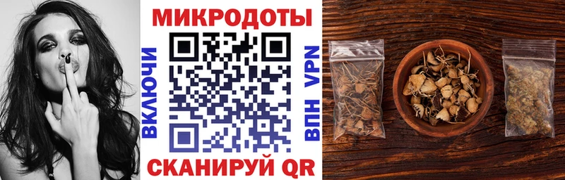 Галлюциногенные грибы Psilocybe  Луховицы 
